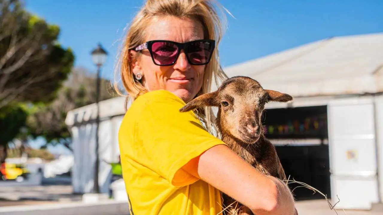 La II Feria Insular de Bienestar Animal – Teguican