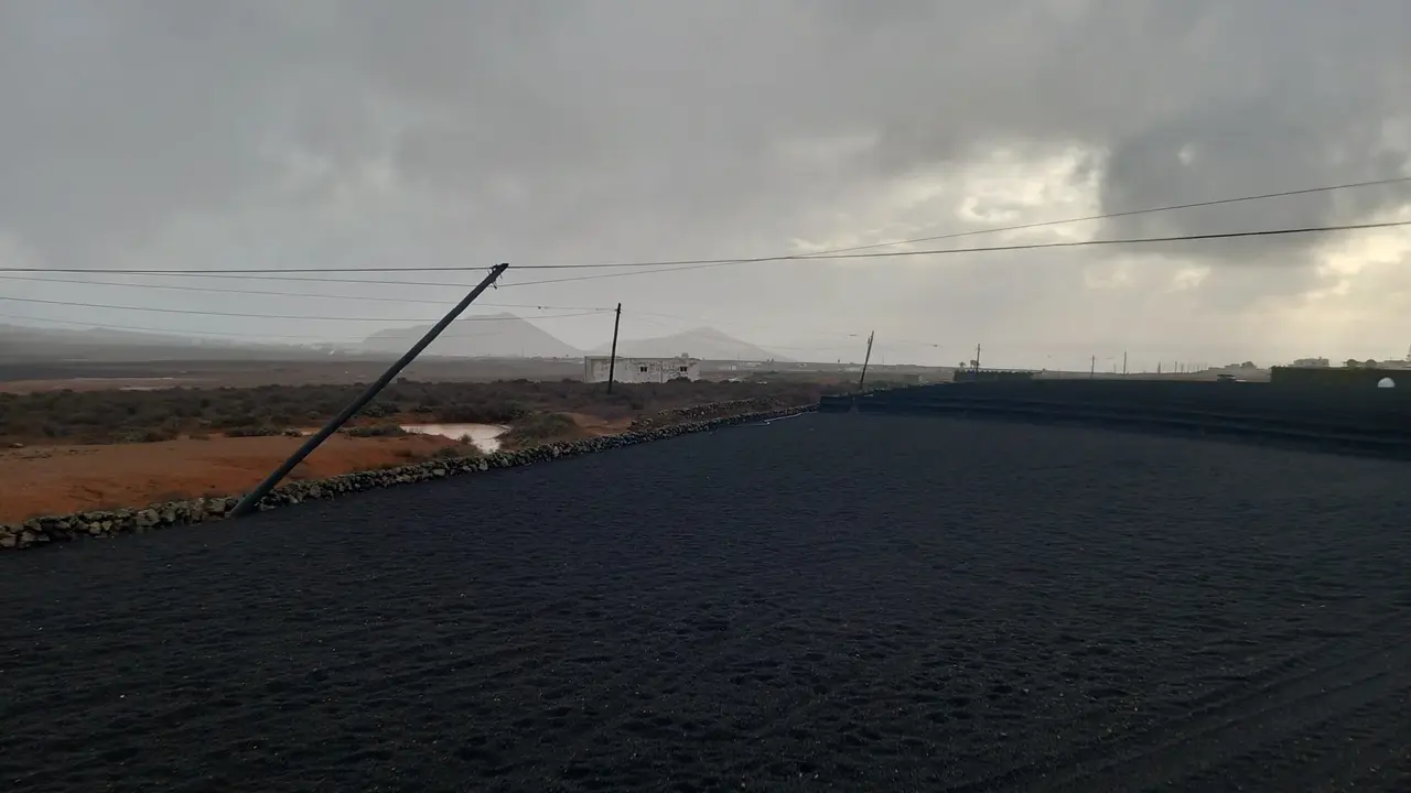 e8e11799-53e4-4af9-a2b0-4028a7d6722e