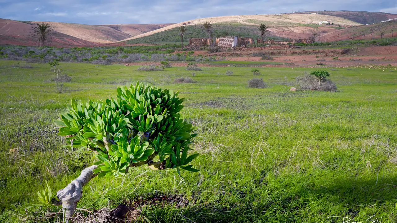 Fotograf&iacute;a de Rosa Garc&iacute;a