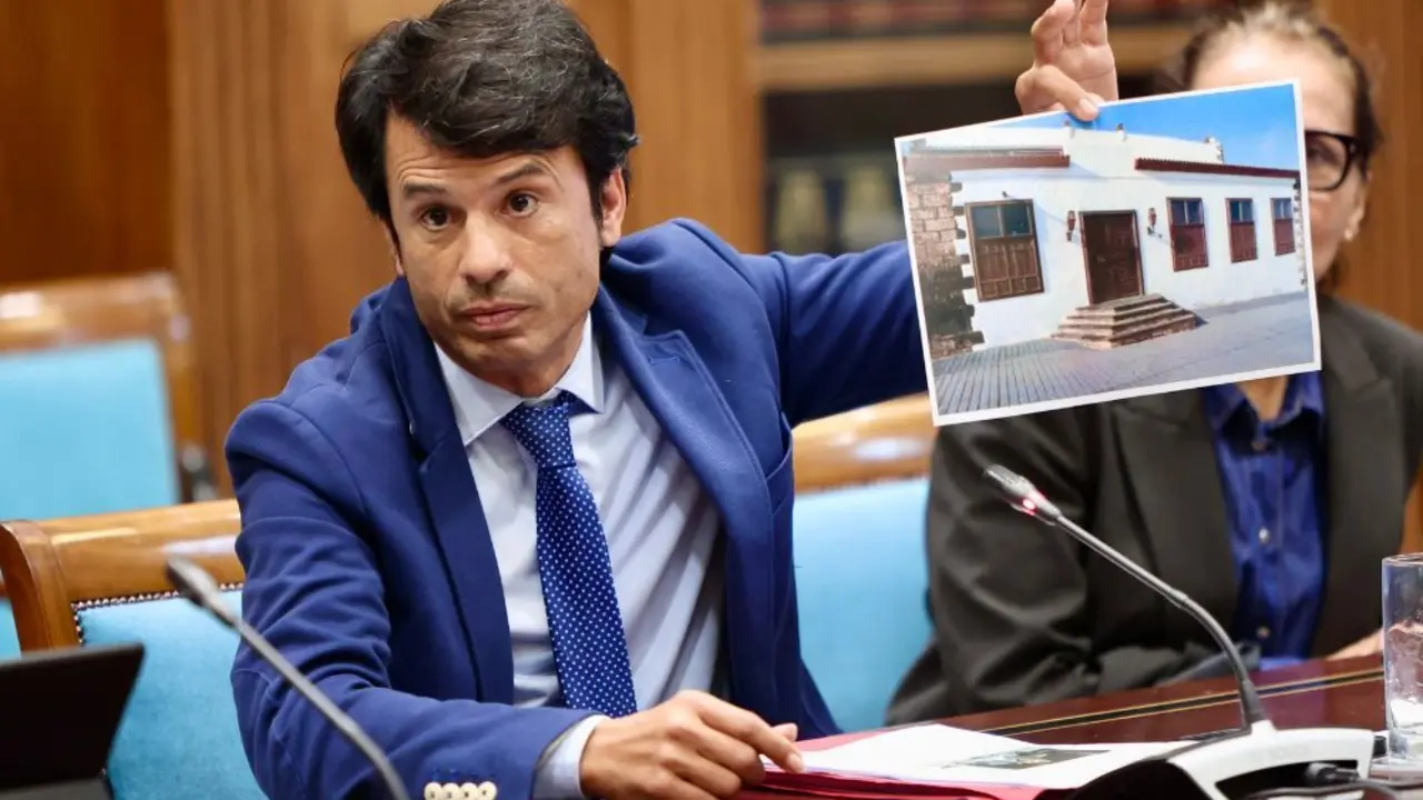 Bergaz en la Comisi&oacute;n de Cultura del Parlamento canario