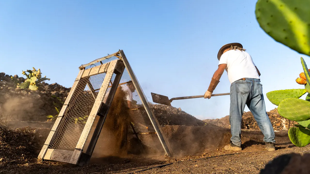 Regenerando Lanzarote