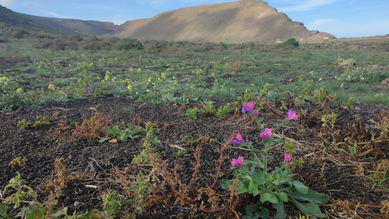 reserva de la biosfera