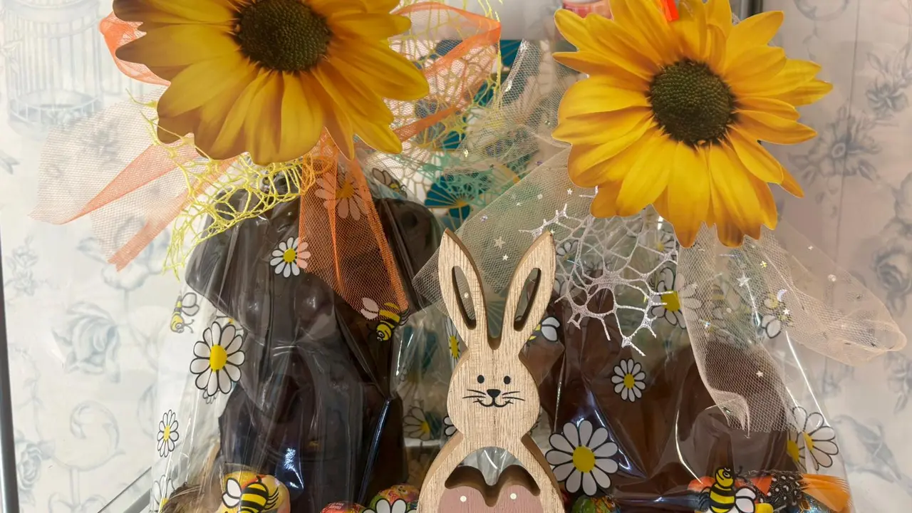 WhatsApp Image 2026-04-06 at 11.37.57 (2)