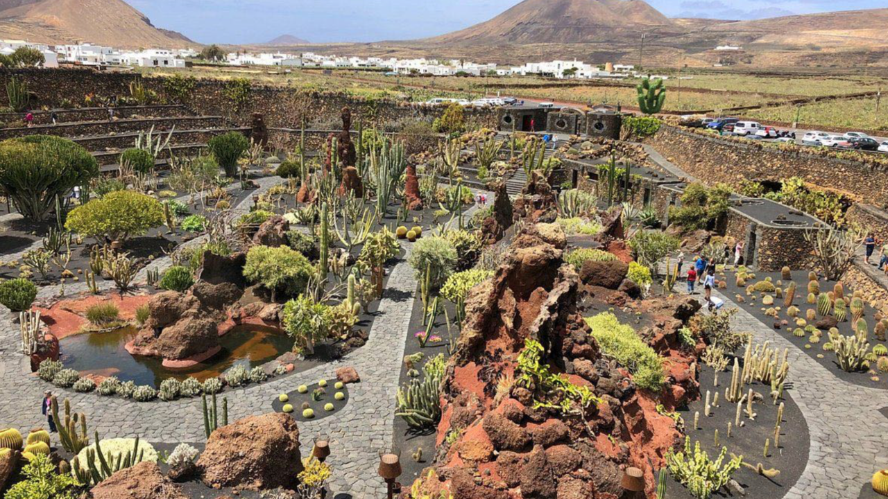 Jard&iacute;n de Cactus