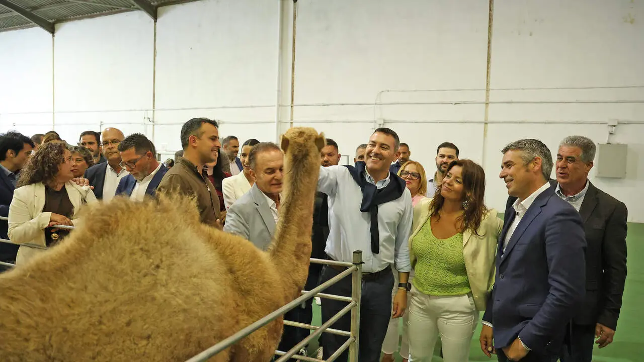 Feria2026 (1)