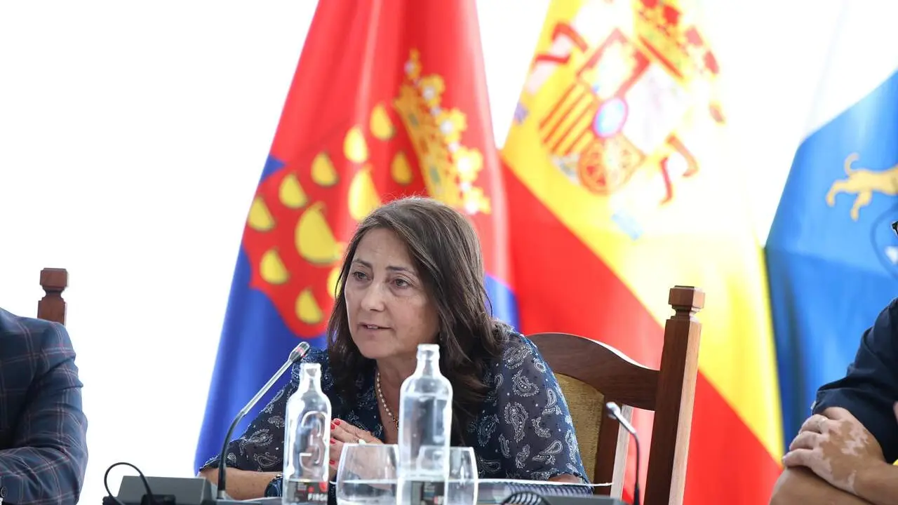 PLENO ORDINARIO CABILDO DE LANZAROTE (90) 