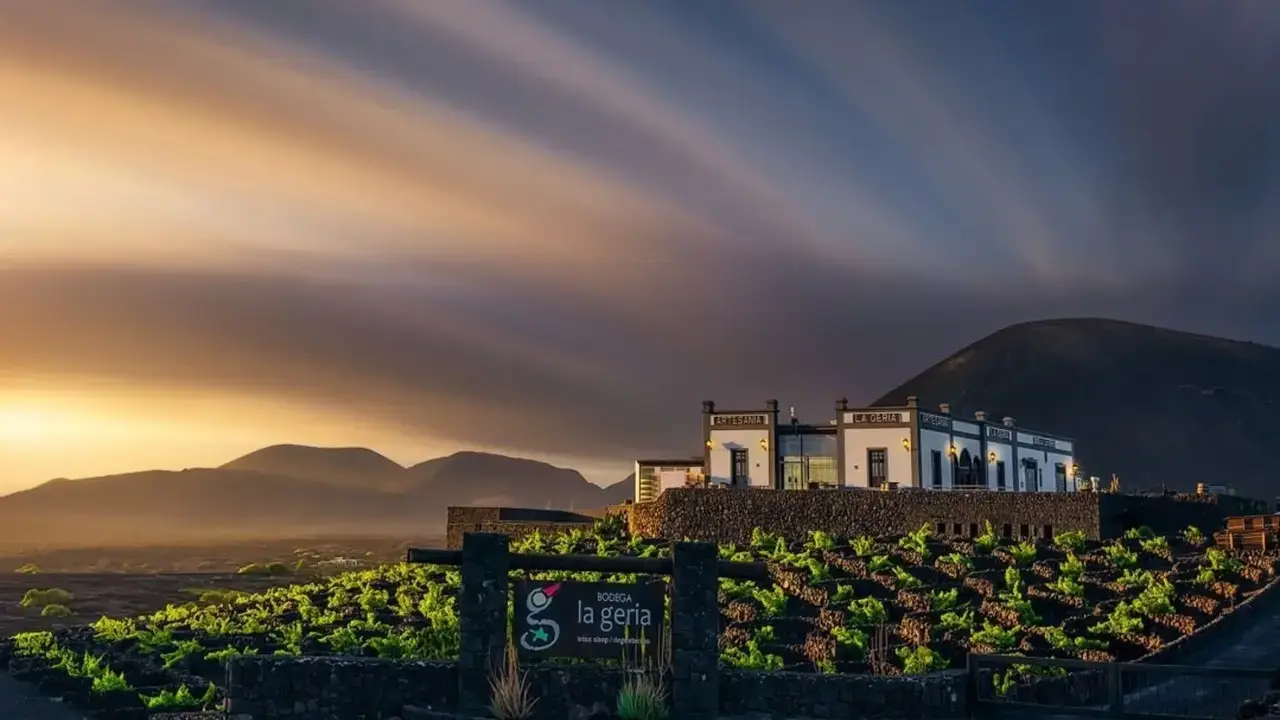 bodega-la-geria-1