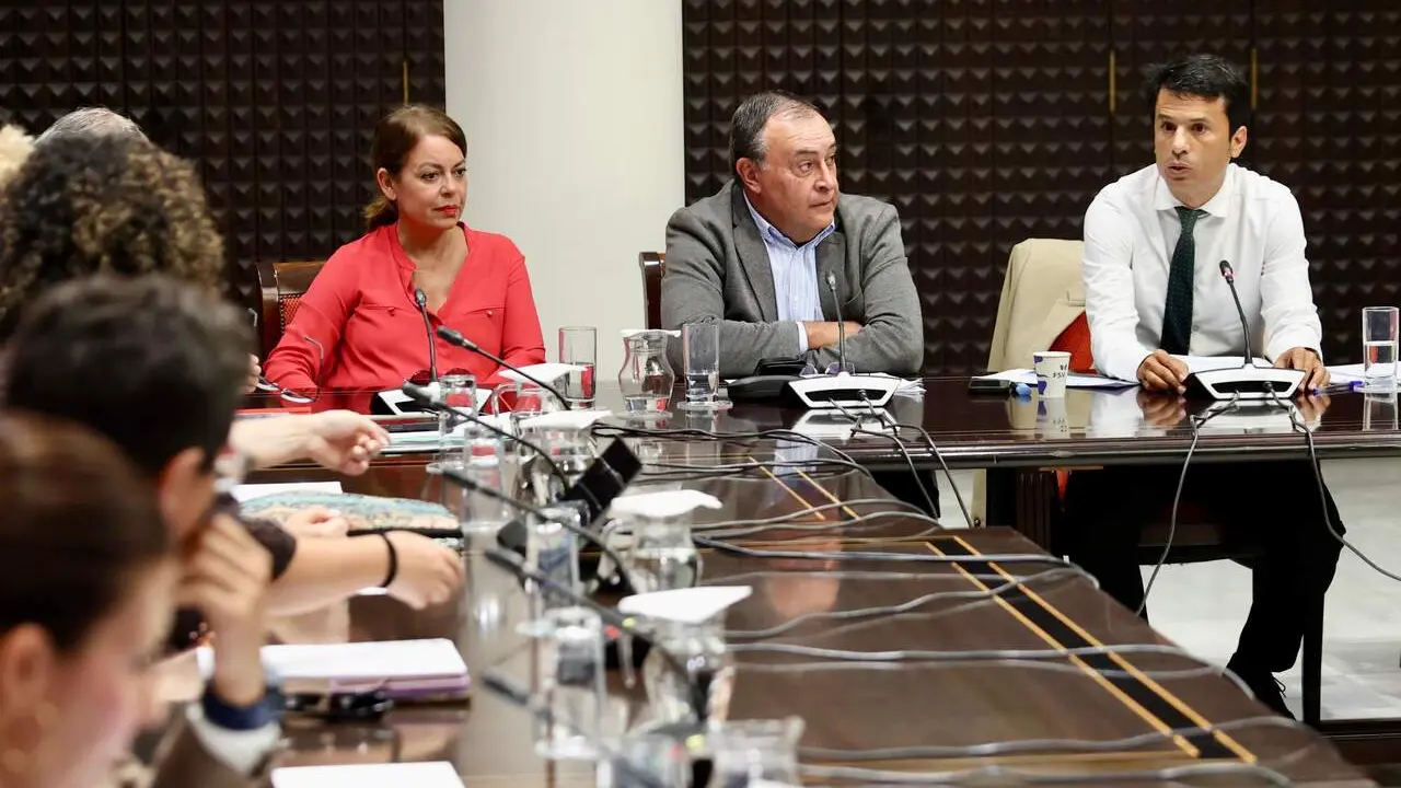 Marcos Bergaz (PSOE) durante una comisión parlamentaria de obras públicas, vivienda y movilidad  (1)