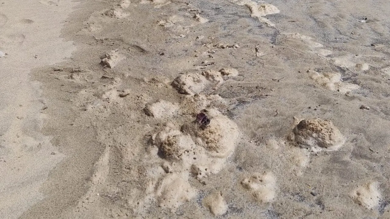 Presencia de los restos fecales este pasado fin de semana donde Sanidad tom&oacute; muestras en la Punta del Camello, junto al aliviadero del Consorcio del Agua de Lanzarote&nbsp;