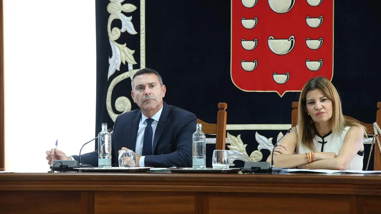 PLENO CABILDO DE LANZAROTE  (14)