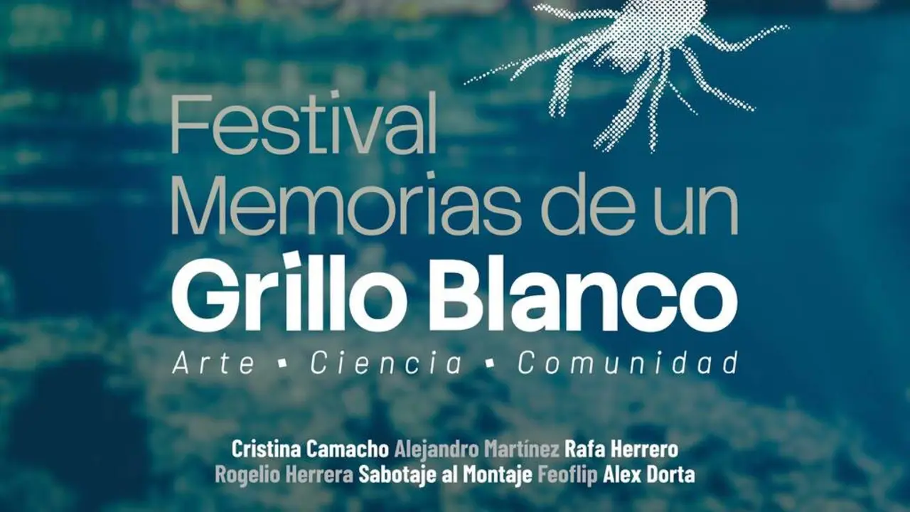 Cartel-Festival (1)