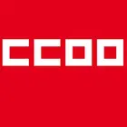 Unión Insular de CCOO