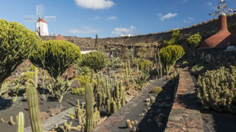Jardín de Cactus
