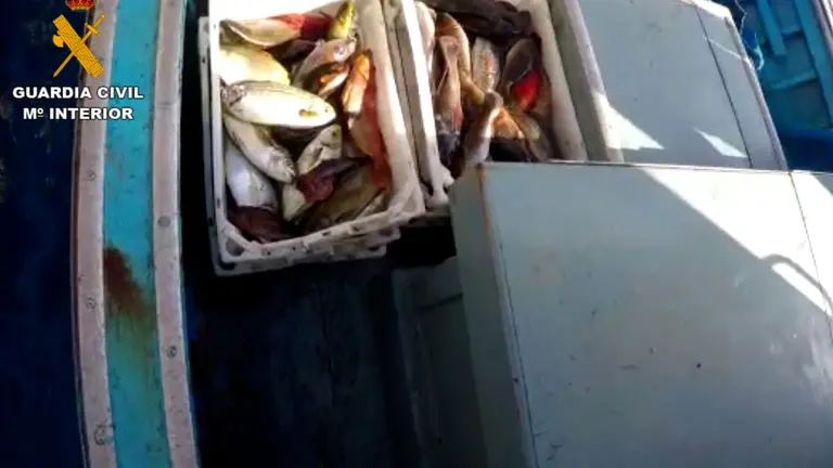 Fotografías de la Guardia Civil de la pesca