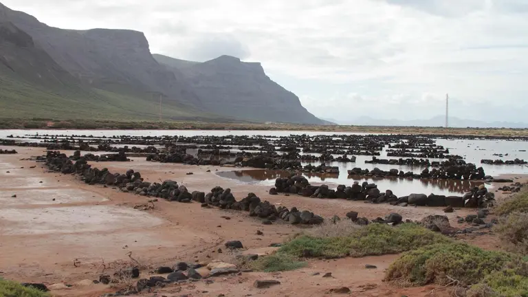 Día Mundial del Medio Ambiente