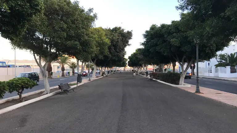Árboles en la Vía Medular de Arrecife