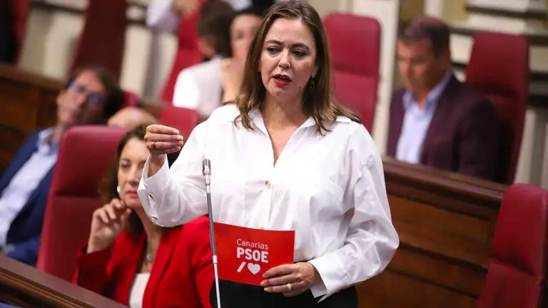 María Dolores Corujo en el Parlamento