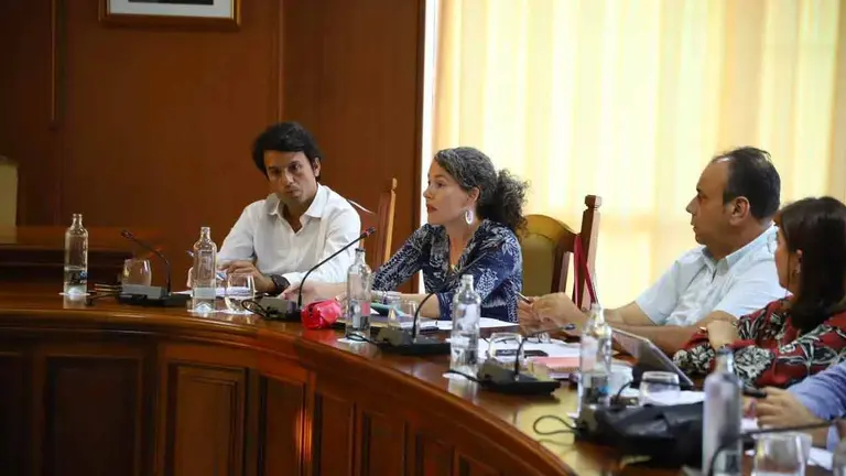 Pleno del Cabildo de Lanzarote