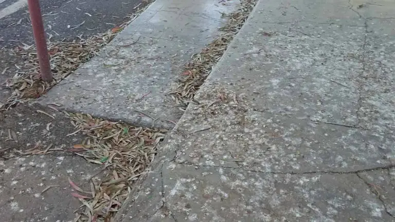 Zona descuidada de Guatiza