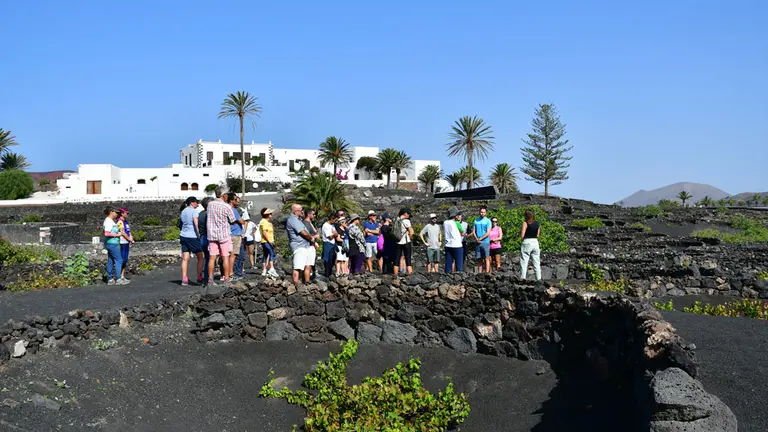 Una de las actividades de la Semana del Vino