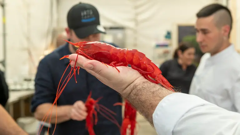 Carabinero de La Santa (FOTO: Adriel Perdomo)