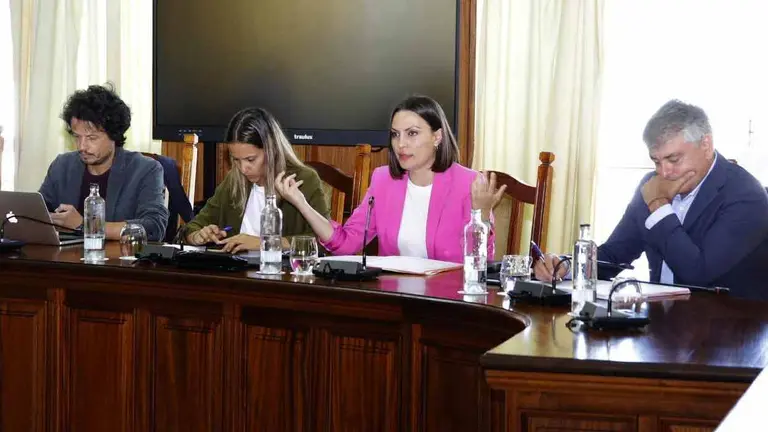 Grupo de CC en el Cabildo de Lanzarote