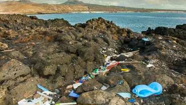 Contaminación por plásticos