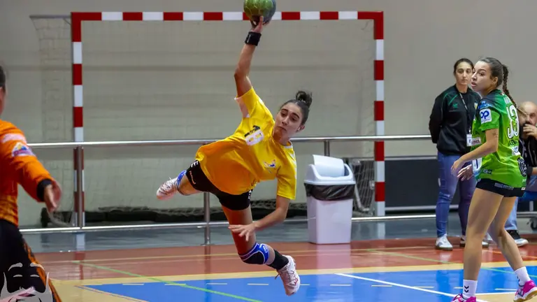Balonmano Puerto del Carmen