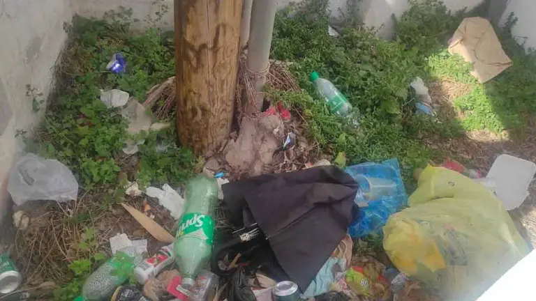 Basura que denuncia CC en Tías