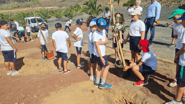 Plantación en la zona de la Casa Mayor Guerra
