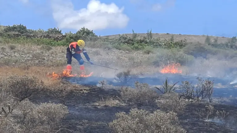 Bomberos en acción.