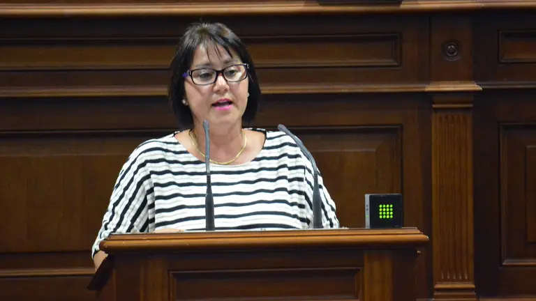 Gladys Acuña en el Parlamento de Canarias.