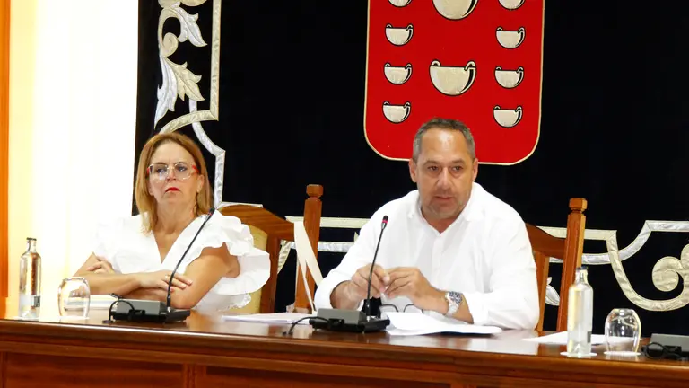 Pleno del Cabildo de Lanzarote.