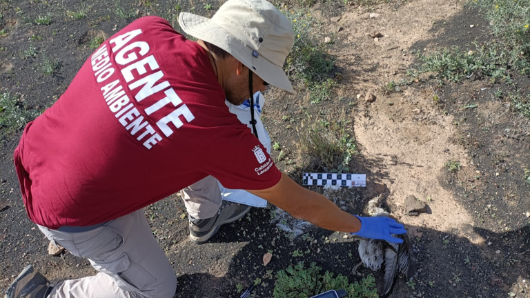 Agente de Medio Ambiente.