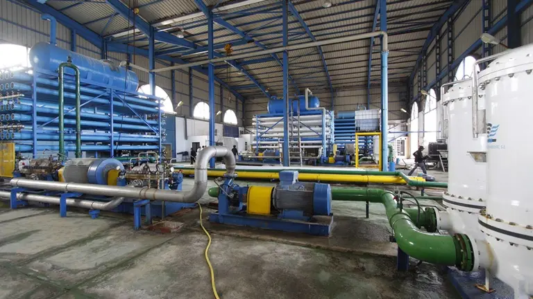 Planta Lanzarote III.