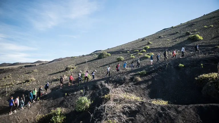 Pateada por los volcanes organizada por la Muestra de Cine de Lanzarote en 2018, en la que se aprecian ejemplares de vinagrera. Foto Javier fuentes.