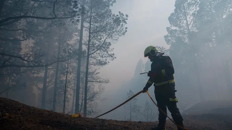 Las Raíces, Tenerife. EFE