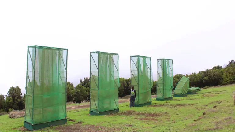 Captadores de niebla en El Hierro. Foto Ander Izaguirre.