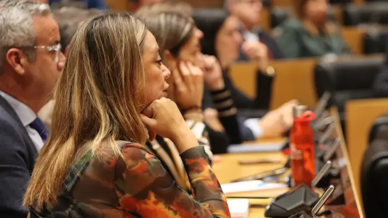 Loli Corujo en el Congreso de los Diputados.