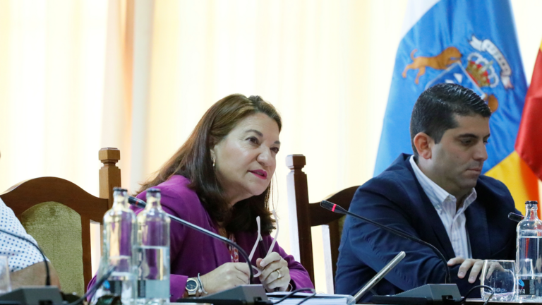 Isabel Martín Tenorio, consejera del Cabildo por el PSOE.