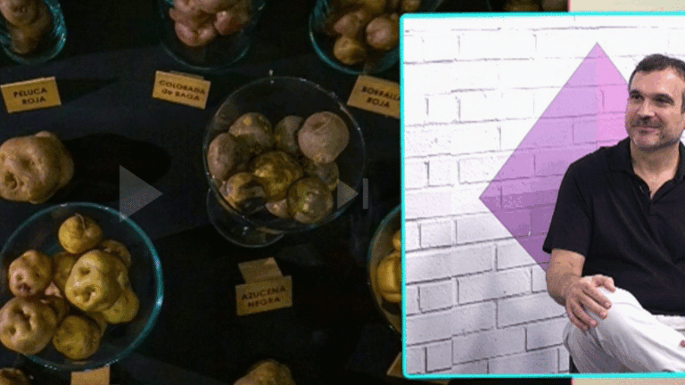 El Magazine de Biosfera TV.