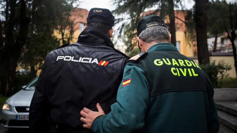 Agentes de la Policía Nacional y de la Guardia Civil.