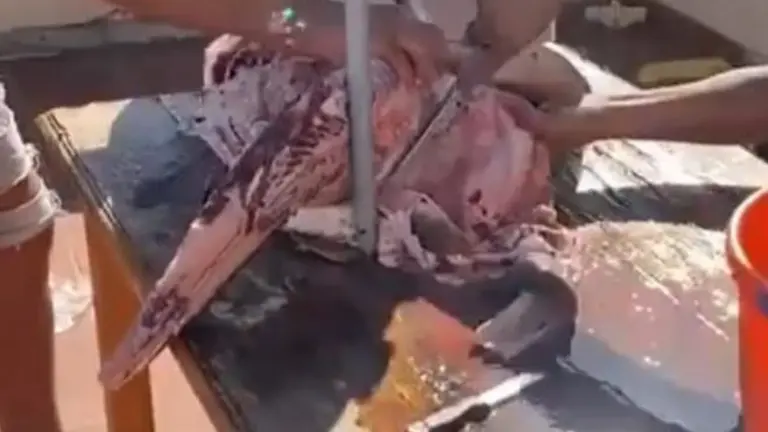 Despiece del angelote.