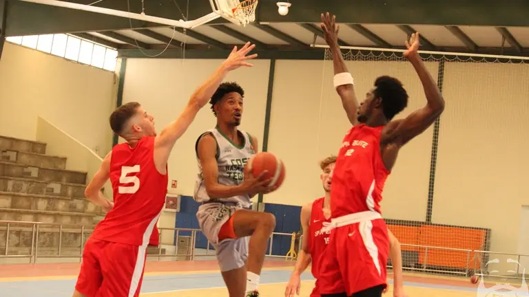 Hortofrutícola - Telde.