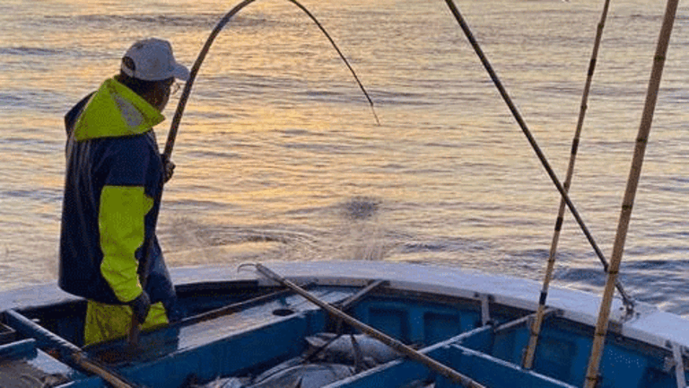 Imagen de archivo de una embarcación de pesca