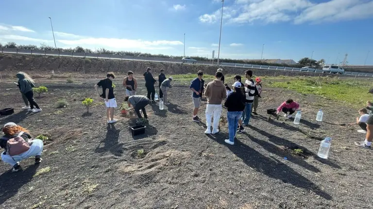 Momento de la plantación