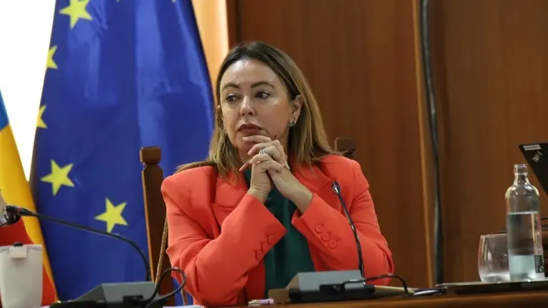 Loli Corujo en el Pleno del Cabildo de Lanzarote.