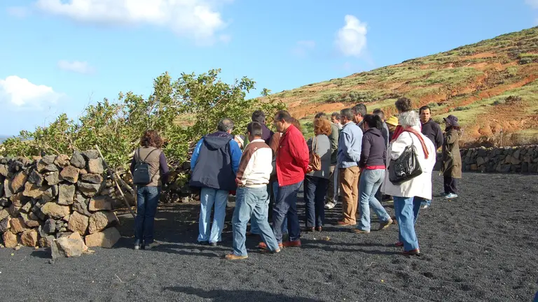 'Acciones formativas 2024'.