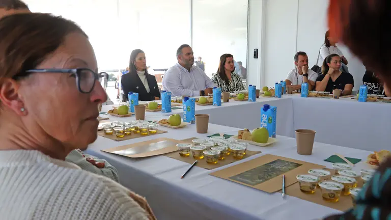 Cata de aceites de oliva.