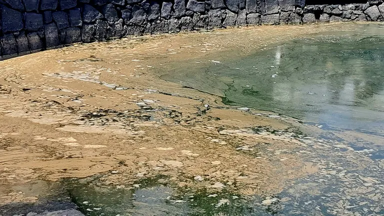 Manchas en el Charco de San Ginés.